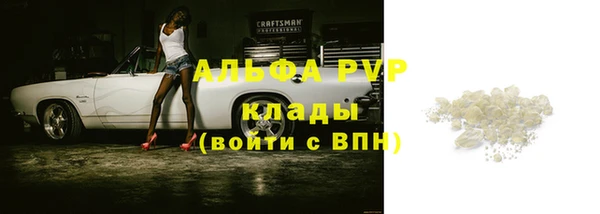 гидра Ижевск