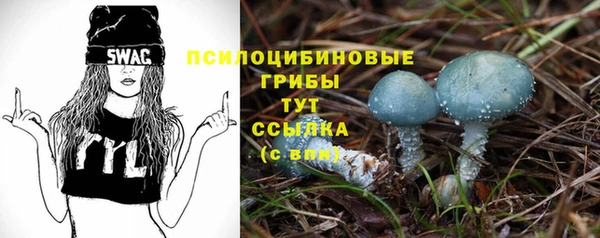 ALPHA-PVP Аркадак
